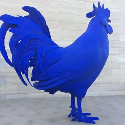 loi toubon coq bleu france