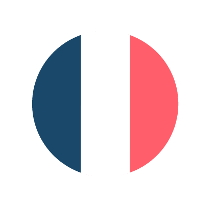 english-to-french technical translator